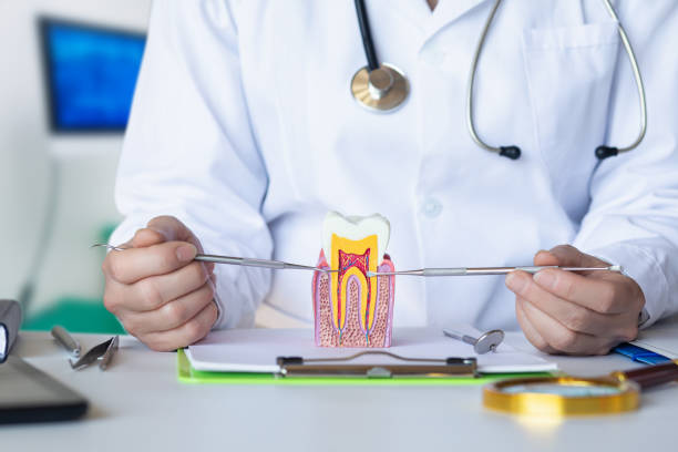 Best Walk-In Emergency Dentist in White Pine, TN